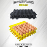 Egg Tray 30 Butir